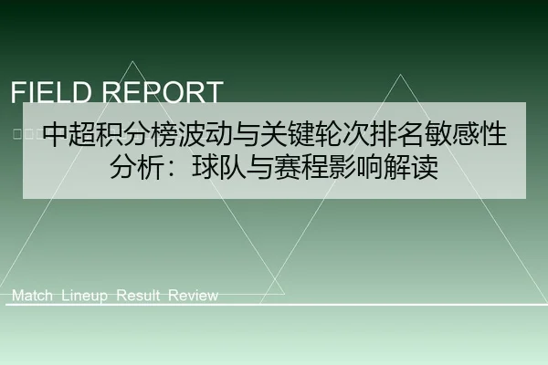 中超积分榜波动与关键轮次排名敏感性分析：球队与赛程影响解读